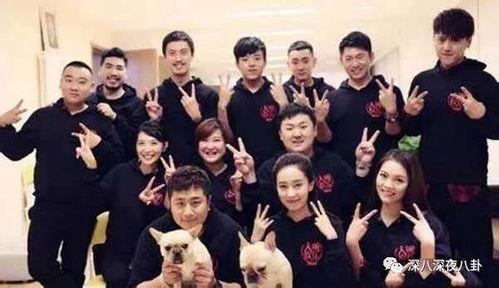 大碗娱乐电视剧,笑料横生的电视剧盛宴